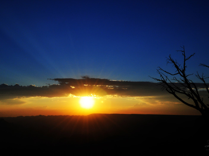 Arizona Sun