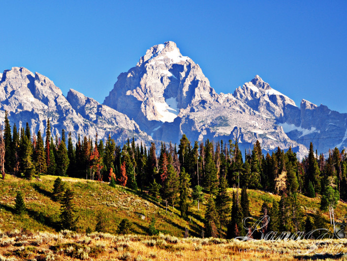 Grand Tetons